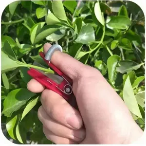 Outil de cueillette de légumes et de fruits, couteau séparateur, outils de jardinage pour la ferme et <span class=keywords><strong>le</strong></span> verger - Product Image 3