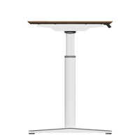 Mobilier de bureau Bureau de direction réglable et debout Bureau électrique Table de bureau réglable en hauteur Bureau du directeur général