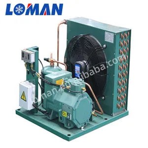 LOMAN 10hp 9hp 8hp 7hp 6hp 5hp 4hp 3hp Bitzer เครื่องทำความเย็นแบบกึ่งสุญญากาศคอมเพรสเซอร์แบบควบแน่นสำหรับห้องเย็น