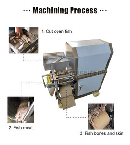 Separatore automatico di carne di lisca di pesce/disossatore di pesce/macchina per rimuovere la spina di pesce - Product Image 2