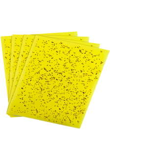 25×30 cm Waterproof Strong Stickiness Pest Control Sheet - Product Image 1