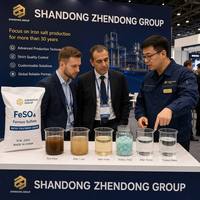 Sulfate de fer monohydraté 30% Fe, poudre fine séchée par pulvérisation, solubilité supérieure