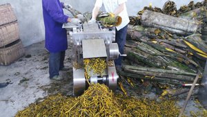 Máy cắt cỏ chanh chất lượng cao Shouchuang, máy cắt thảo mộc, máy băm hoa, máy cắt thân cây, máy thái lá, máy cắt 400- - Product Image 5