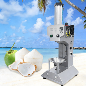 加工厂的椰子脱壳机和其他果蔬加工机械的无忧售后服务。 - Product Image 3