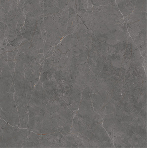 Carreaux de sol de haute qualité 1200*1200mm, finition mate, nouvelle collection, carreaux en porcelaine rustique émaillée R11, carreaux muraux minimalistes - Product Image 4