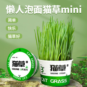 Kit de siembra instantánea de hierba para gatos, sin necesidad de tierra, eliminación de bolas de pelo para gatos, germinación en 3 días, alta tasa de germinación - Product Image 2