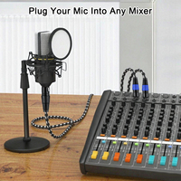 Fabricant OEM Haut de Gamme Xlr 3Pin Mâle Jack Plug Stéréo Femelle à 2 Mini Mâle Xlr Microphone Hifi Son Audio Instrument Câble