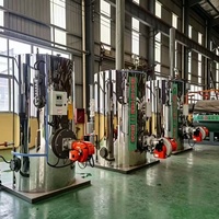 Chaudière à vapeur automatique à gaz naturel à faible pression et faibles émissions de 400 kg/h pour le repassage des vêtements