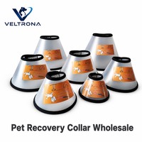 Collier de récupération pour animaux de compagnie, collier éлизавétique en plastique givré, réglable pour la protection des plaies post-chirurgicales chez les chiens et les chats, 7 tailles