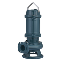 Pompa Air Limbah Submersible WQ-AS 1.1-22kW 19-163m3/jam 19-62m untuk Drainase Industri dan Kota