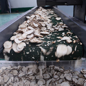 Guoxin <span class=keywords><strong>agaric</strong></span> סופג לחות מייבש/ירקות ופירות ייבוש רשת חגורת מייבש מכונת/עגבניות סופג לחות רשת חגורת מייבש מכונה - Product Image 4