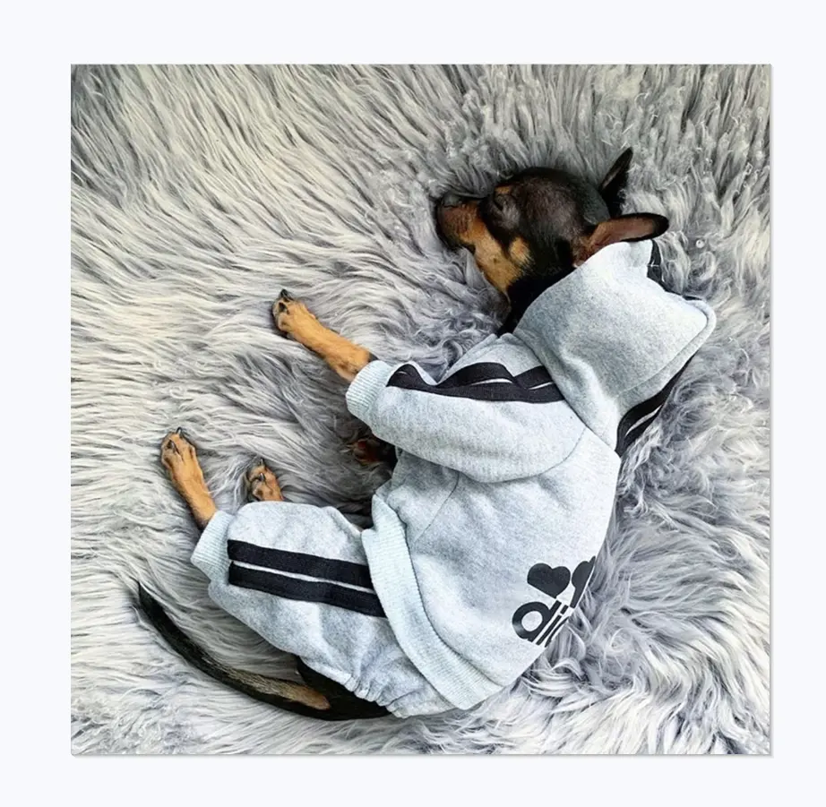 Factory Price Wholesale Pet Sweater Four-legged Clothes Well-known Sports Brand Big Dog Hoodie