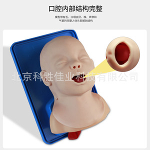 Modèle de simulation d'intubation trachéale pour nourrissons Jike, modèle pédagogique - Product Image 3