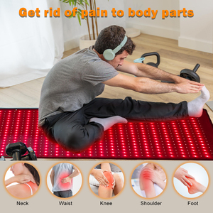 ODM OEM 180*60cm Pet Therapy tappetino 900 Pet Therapy luci LED sollievo dolore macchina <span class=keywords><strong>Pdt</strong></span> per cavallo rosso infrarosso terapia per il viso del corpo - Product Image 5