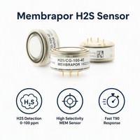 Module de capteur de gaz H2S sur mesure, calibré en usine, pour la détection de gaz de canalisation, d'huile et de gaz dans les espaces confinés, OEM & ODM