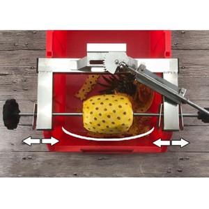 Machine industrielle entièrement automatique pour peler les noix de coco/peler les ananas (dénoyauteur et trancheuse) - Product Image 2