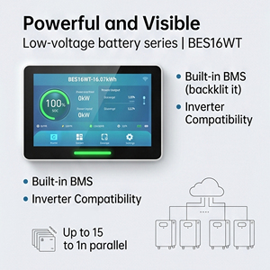 51.2V 314Ah 16.07kWh IP20 Home BMS AC All-In-One Floor Standing Lithium Ion <b>Battery</b> 300Ah 15kWh Solar Energy System - Product Image 4