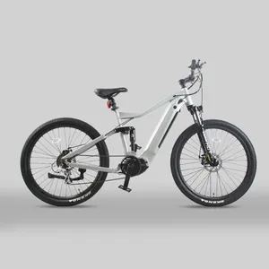 Fabbrica Oem/Odm 27.5 29 pollici eBike elettrico pneumatico grasso bici elettrica ibrida città strada montagna 750w 1000w elettrico Dirt Bik