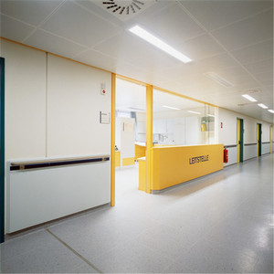 Brikely personnalisé 8mm décoratif 3d Hpl panneaux stratifiés compacts conception panneau mural étanche - Product Image 6
