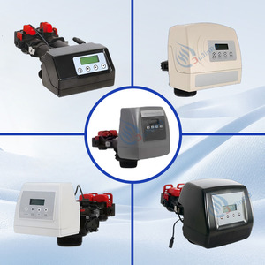 Adoucisseur automatique Runxin de haute qualité, série F69Q, 2000 LPH 2 TPH, avec garantie d'un an pour l'eau de alimentation des chaudières - Product Image 2