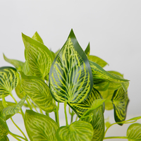 Plante artificielle Lvy de 22 cm avec pot, feuilles vertes, succulente, plante d'intérieur avec pot, décoration d'intérieur