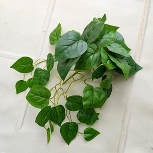 Plante Artificielle CallaFloral, Branche Unique en PVC Brillant, Décoration Intérieure, Couleur Verte MW16303 - Product Image 3