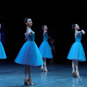 Vestido de Ballet <span class=keywords><strong>blanco</strong></span>, ropa de actuación, tutú de Ballet largo romántico, bailarina del lago de los Cisnes, disfraz de Ballet de hadas para niños y niñas - Product Image 5