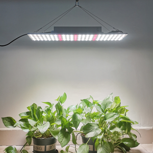Luz de crecimiento de plantas de placa cuántica LED de espectro completo Marco de piso de invernadero cuadrado Luz de relleno de plantación de vegetales - Product Image 1