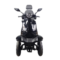 60v1000W Scooter de mobilité électrique à 4 roues Auvent amovible Poids léger Handicapé Accessible 1000W Ceinture de sécurité Approuvé EEC