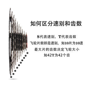 Piñón libre para bicicleta de 12 velocidades, aleación de aluminio de alta resistencia, tipo cassette para bicicleta de montaña y carretera CSR0 - Product Image 5