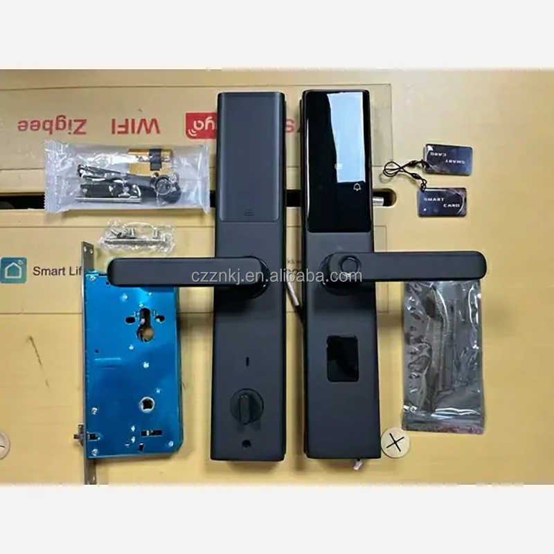 Chenzhuo Z13V Smart Fingerprint Door Lock Aluminum Alloy WiFi Tuya App Memory Card Wood/Aluminum/Steel Door Office High Security · image 3