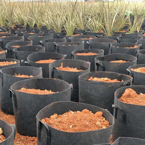3/5/7/10/15 gallons pour la maison l'extérieur bon marché fibre non tissé <span class=keywords><strong>géotextile</strong></span> tissu d'aération sacs <span class=keywords><strong>de</strong></span> jardin gallon <span class=keywords><strong>sac</strong></span> <span class=keywords><strong>de</strong></span> culture feutre Pot <span class=keywords><strong>de</strong></span> plante - Product Image 6