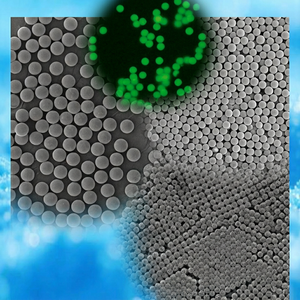 Microsphères enduites de streptavidine pour les applications d'immunoessais ELISA, de liaison protéique, de bioessais, de diagnostic et de bioconjugation - Product Image 1