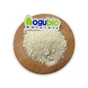 Lebensmittel qualität Guar Gum Cas Nr. 9000-30-0 Lebensmittel zusatzstoff Guar Gum Powder