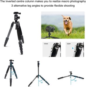 Sirui Nhỏ Gọn Du Lịch 5C Tripod 54.3 Inch Trọng Lượng Nhẹ Sợi Carbon Du Lịch Tripod Xách Tay Máy Ảnh Tripod Với 360 Toàn Cảnh - Product Image 3
