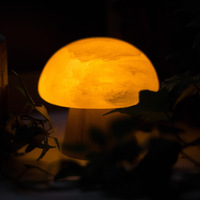 Lampu Gipsum Selenite Putih Ukiran Tangan Modern Minimalis Bentuk Hati Bunga Cinta Natal Feng Shui untuk Kamar Tidur Ruang Tamu Zen