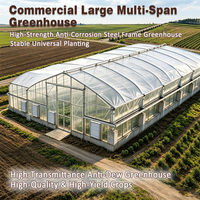 Serre tunnel agricole sur mesure de haute qualité, grande, gothique, multi-chapiteaux, en acier galvanisé à chaud, pour culture hydroponique de tomates