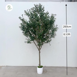 Grand olivier artificiel en plastique de 260 cm, à feuillage persistant, pour la décoration de <span class=keywords><strong>jardin</strong></span> et d'intérieur, résistant, décoration d'anniversaire - Product Image 2