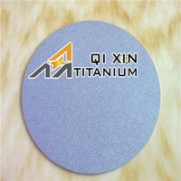 Accessoires pour générateur d'ozone Aqua Bubble Stone : Disque en titane, aérateur, diffuseur d'ozone pour pisciculture