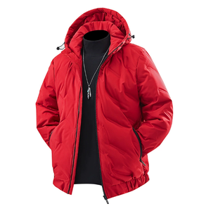 Nueva Chaqueta de Plumón Cálida para Otoño e Invierno, Informal, a la Moda, Versátil, Gruesa y Cálida, con Cierre - Product Image 1