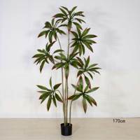 Y016 Plante artificielle décorative italienne, type Arbre de sang de dragon, résistante aux UV, verte, Bonsaï durable à base d'eau, toucher réaliste