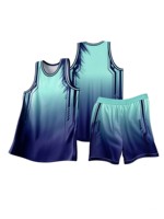 Collection de vêtements d'équipe multisports personnalisés, maillot de football, uniforme de basketball, t-shirt d'entraînement, survêtement à capuche, vente en gros OEM ODM