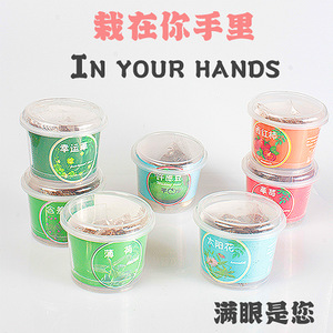 Kit de graines de fraises en mini-pot, ornement de bureau intérieur pour enfants, pour une culture DIY amusante - Product Image 5