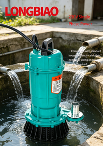 <span class=keywords><strong>Pompe</strong></span> <span class=keywords><strong>de</strong></span> drainage submersible durable KQWS12-18 1.1-1.8KW 220V en acier inoxydable anti-colmatage et résistante à l'usure pour le drainage des fosses <span class=keywords><strong>de</strong></span> sous-sol - Product Image 6