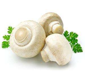 מכירה לוהטת אורגני לבן פטריות, כפתור פטריות, והסוכרים - Product Image 6