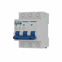 Disjoncteur solaire DC Solivo MXB1-63Z 1000V 6A-63A 6kA avec protection Li PA66 Cuivre pour boîtier de combinaison PV et stockage d'énergie