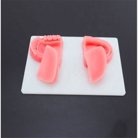 Kit de pratique de suture dentaire en silicone pour la formation en usine, conforme CE/ISO