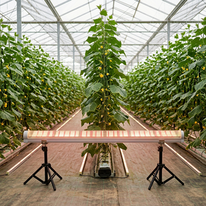 Lámpara LED de Alta Eficiencia para Cultivo en Interiores, Bajo Toldo, para Tomate, Pimiento, Fresa, Pepino, Invernadero - Product Image 1