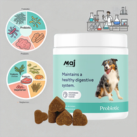 Friandises pour animaux de compagnie personnalisées en gros OEM : Compléments probiotiques à mâcher pour chiens et chats, favorisant la santé digestive et immunitaire