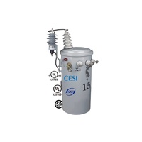 Transformateur monophasé intelligent à faible perte 13,2 kV 13,8 kV 5 kVA 10 kVA 15 kVA 20 kVA monté sur poteau